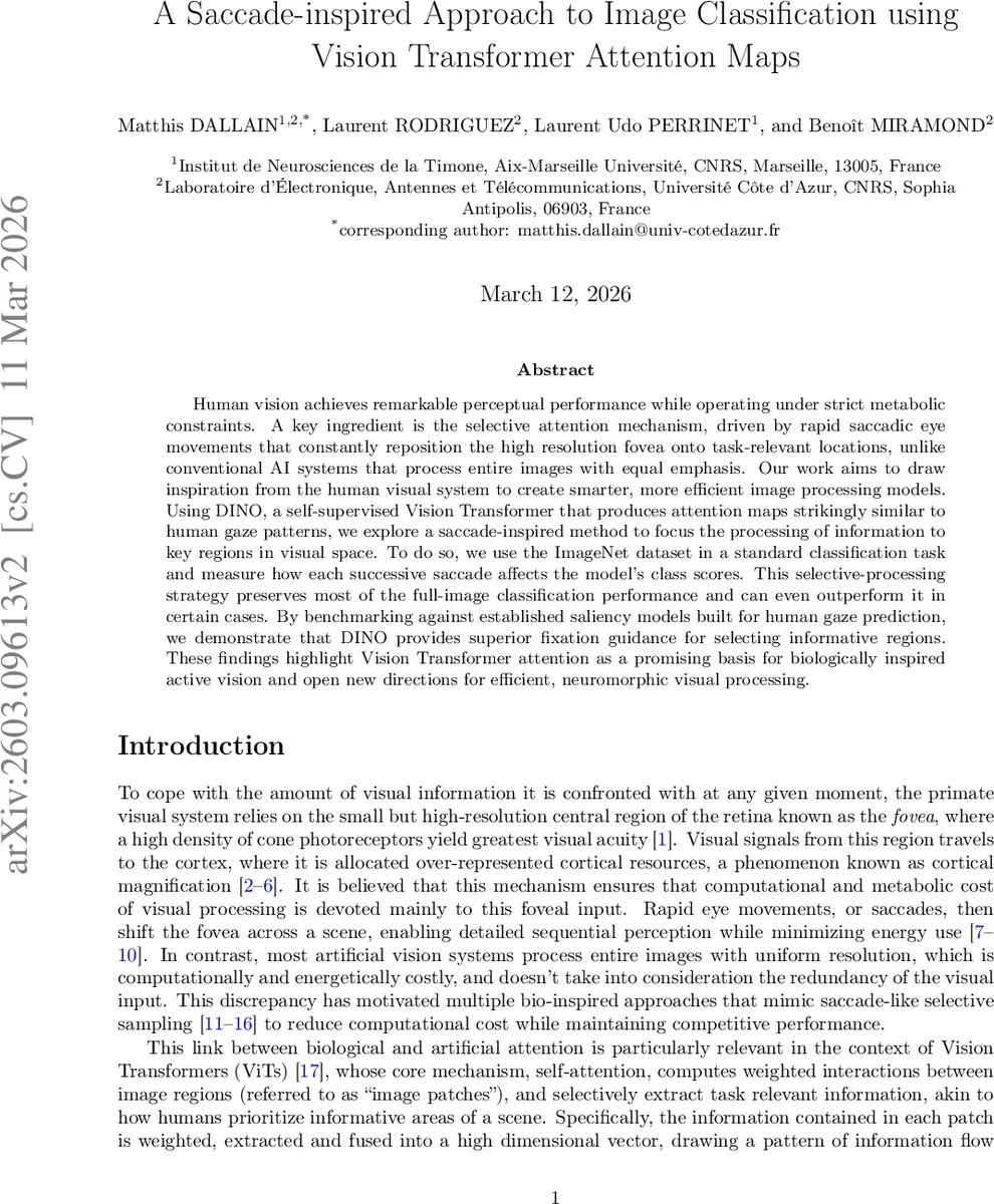 시선 이동 영감을 받은 비전 트랜스포머 기반 이미지 분류