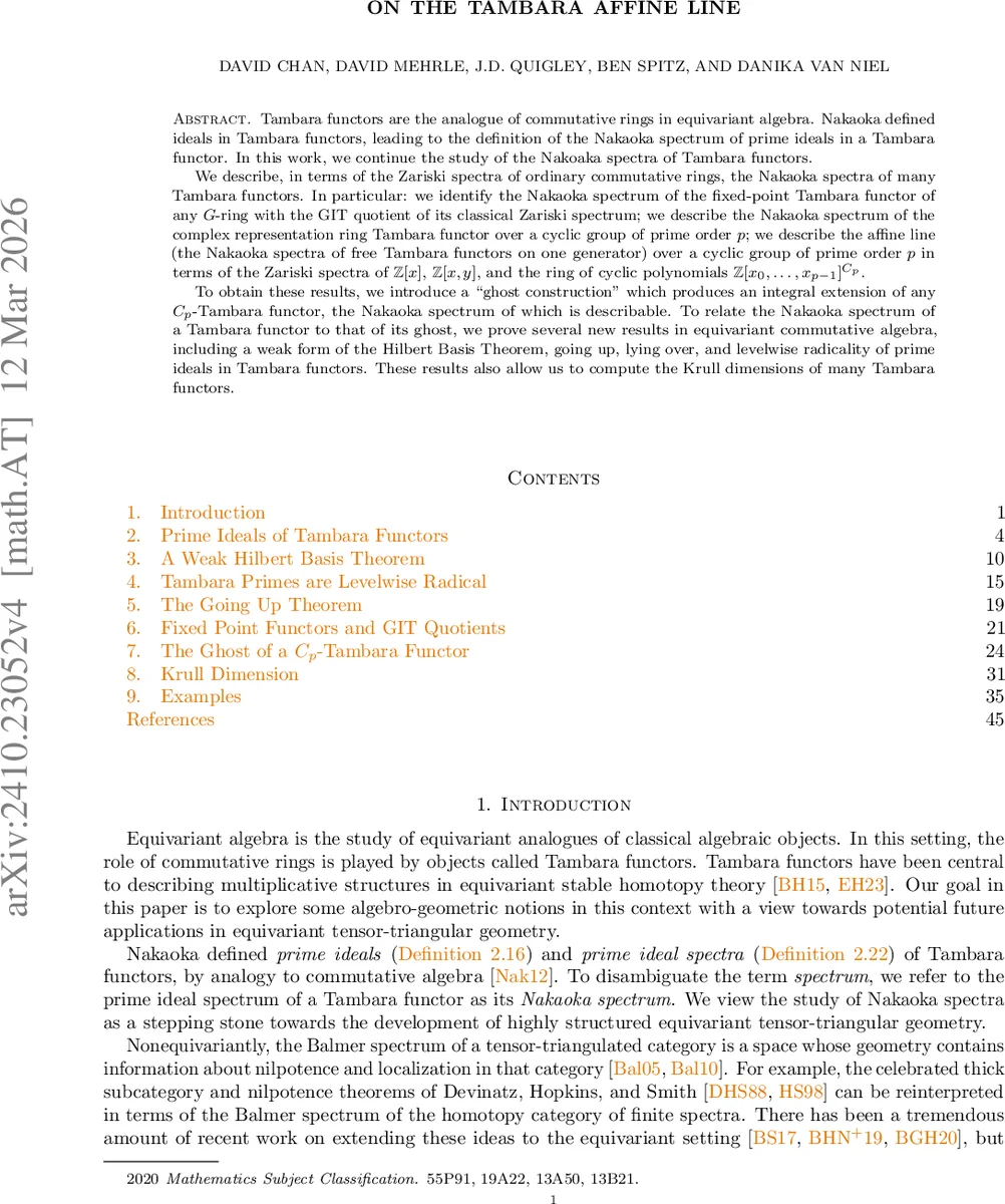 탐바라 선형과 가환 대수의 새로운 연결고리