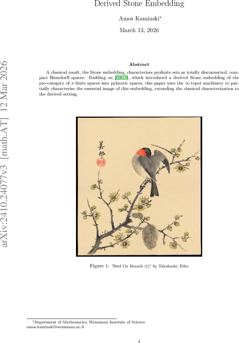 파생 스톤 임베딩과 피크노틱 공간의 본질적 이미지