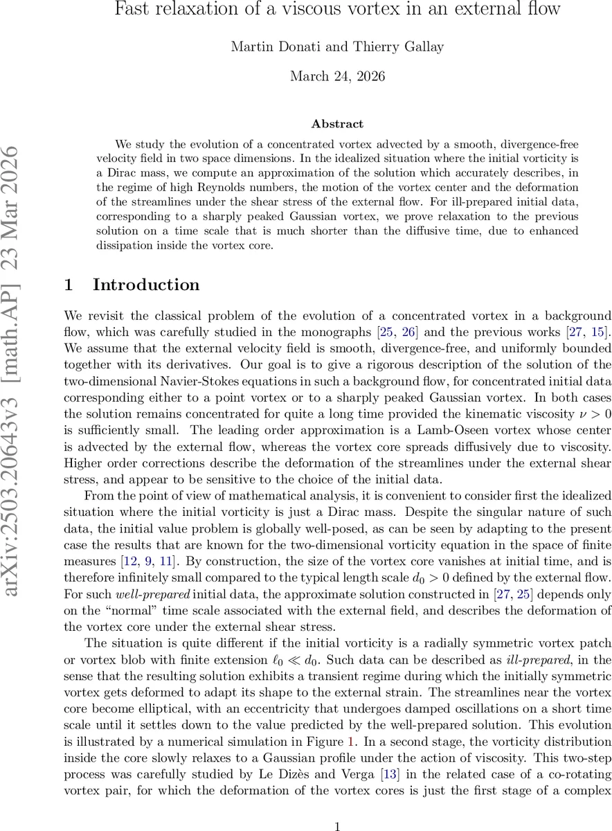 외부 흐름 속 점성 와류의 빠른 이완 메커니즘
