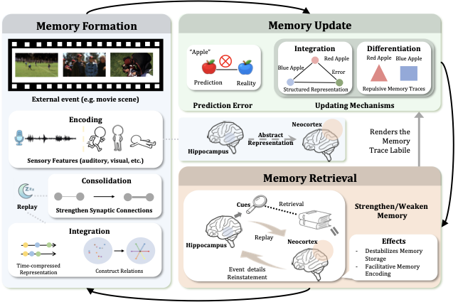 Mind Meld  From Human Memory to AI Futures