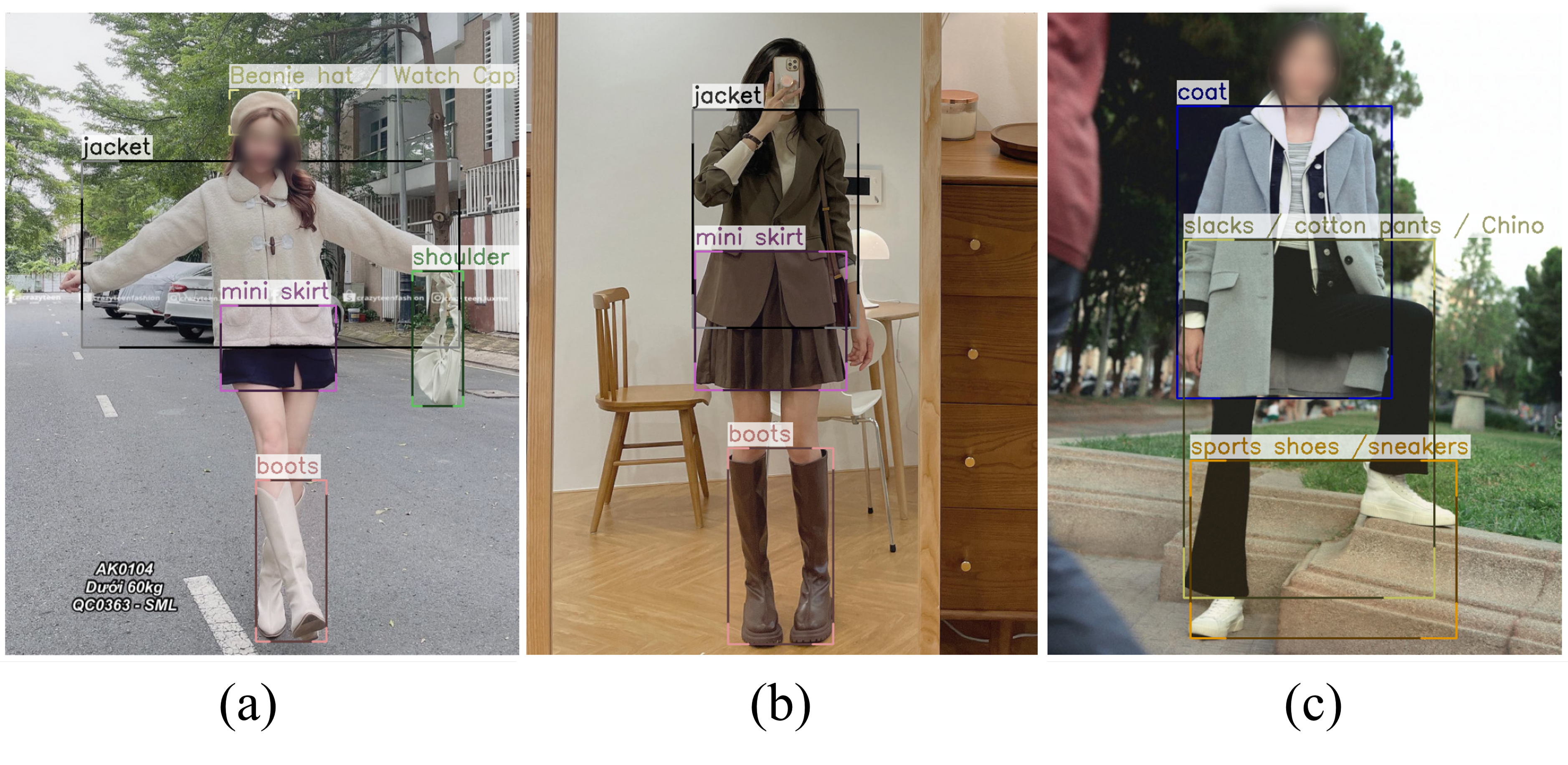 Holi-DETR  Contextual Holistic Fashion Detection Transformer