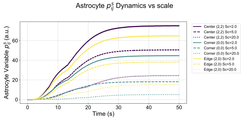 RMAAT  Astrocyte-Inspired Memory Compression and Replay for Efficient Long-Context Transformers