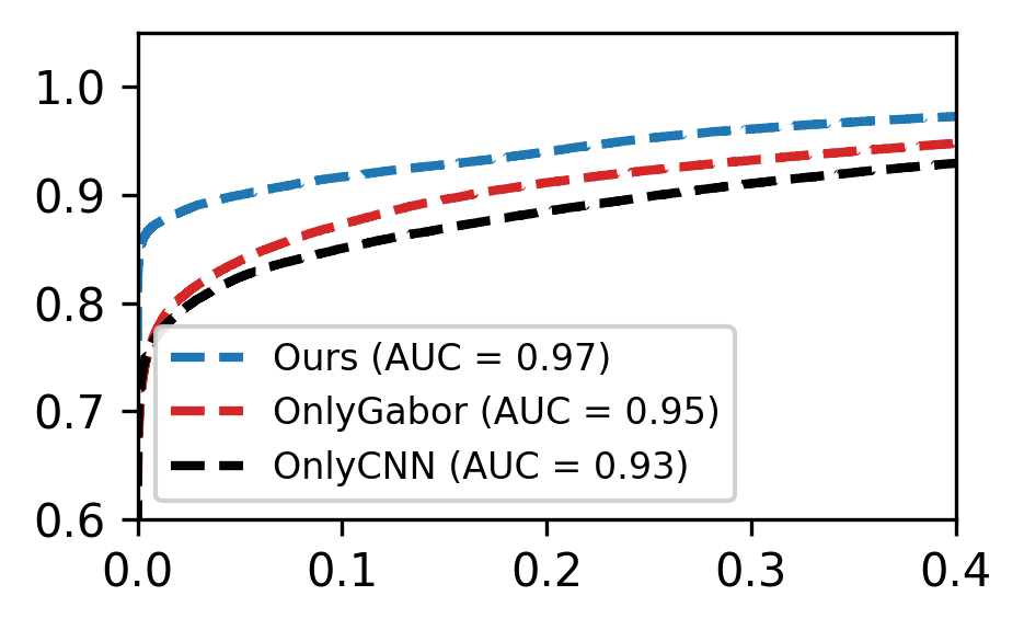 Hear the Heartbeat in Phases  Physiologically Grounded Phase-Aware ECG Biometrics