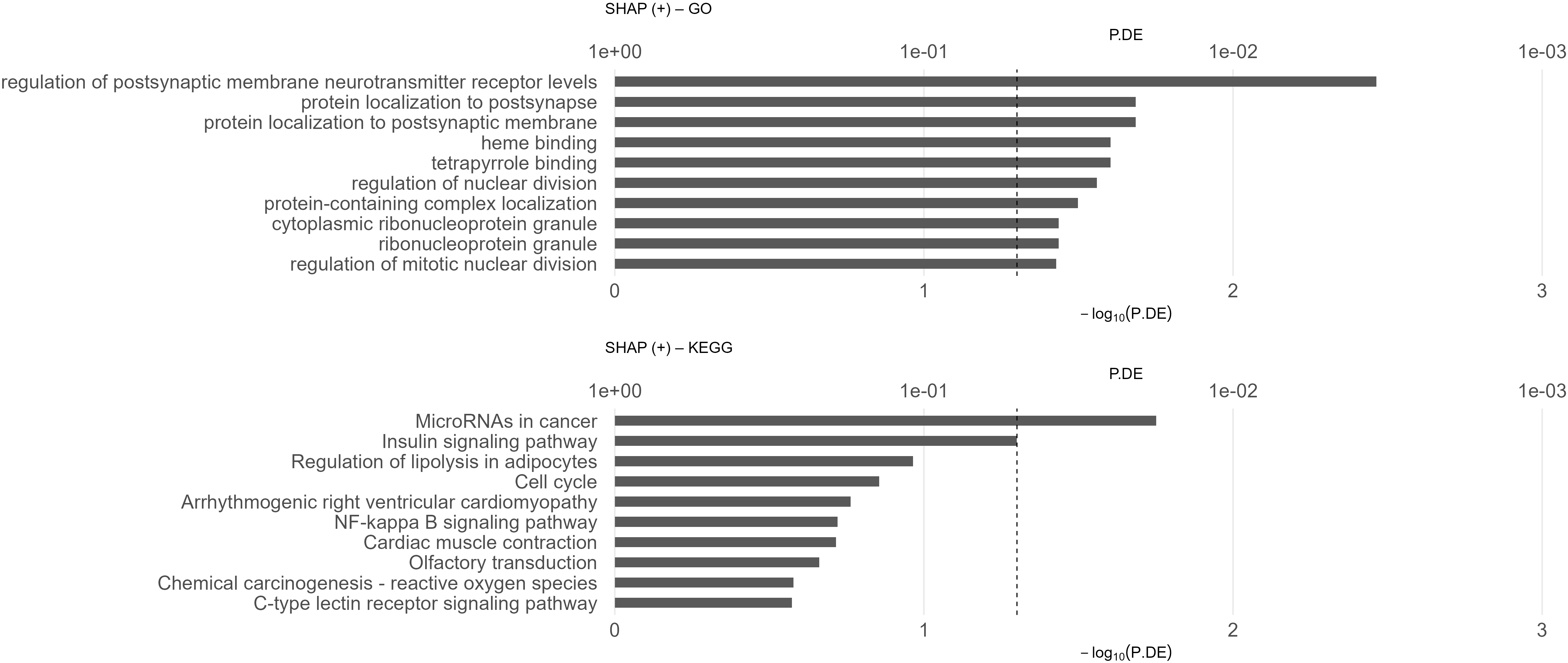 MethConvTransformer  Early AD Detection Through DNA Methylation