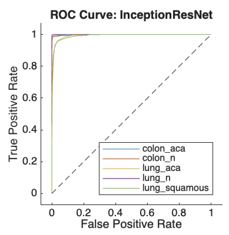 Enhancing Histopathological Image Classification via Integrated HOG and Deep Features with Robust Noise Performance