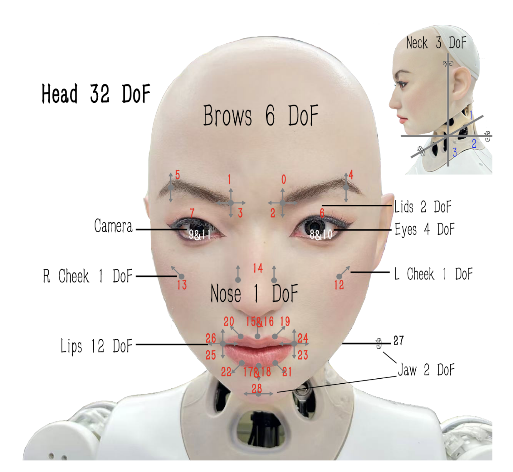 SingingBot  An Avatar-Driven System for Robotic Face Singing Performance