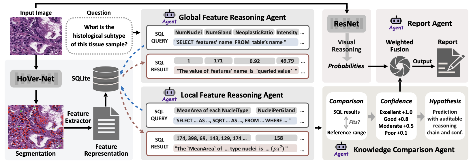 SQL-Driven Transparency in Pathology Image Analysis